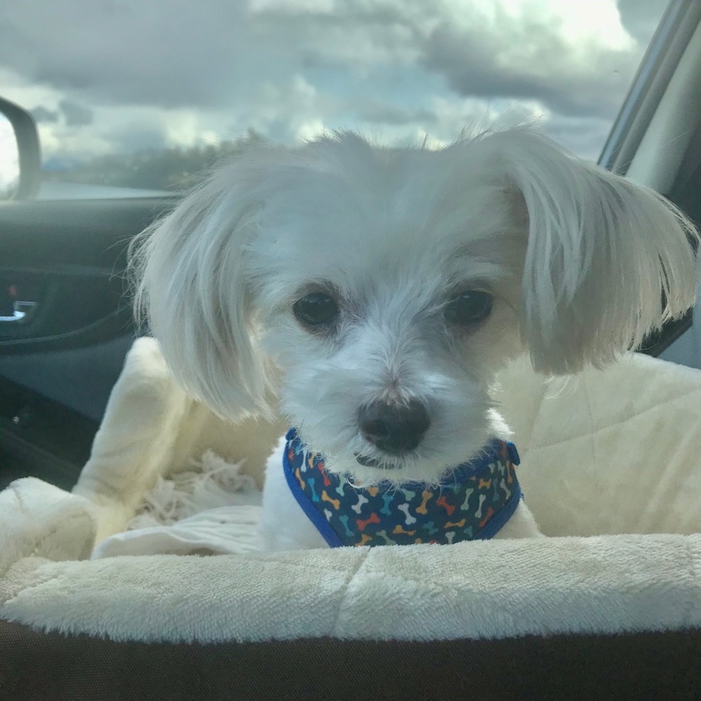 Meet your Posher, Jacquie